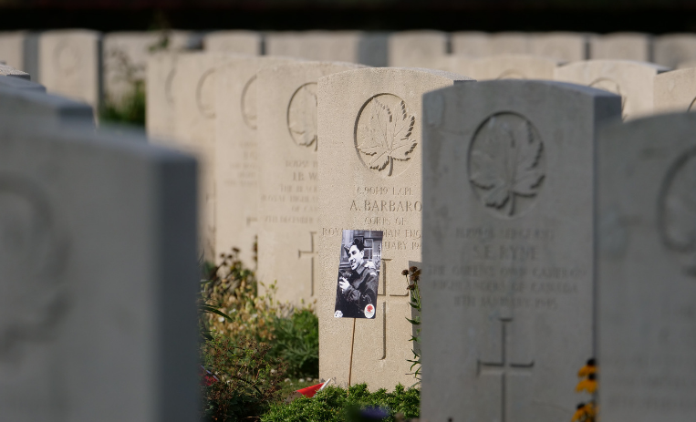 Find out more about the work of the Commission